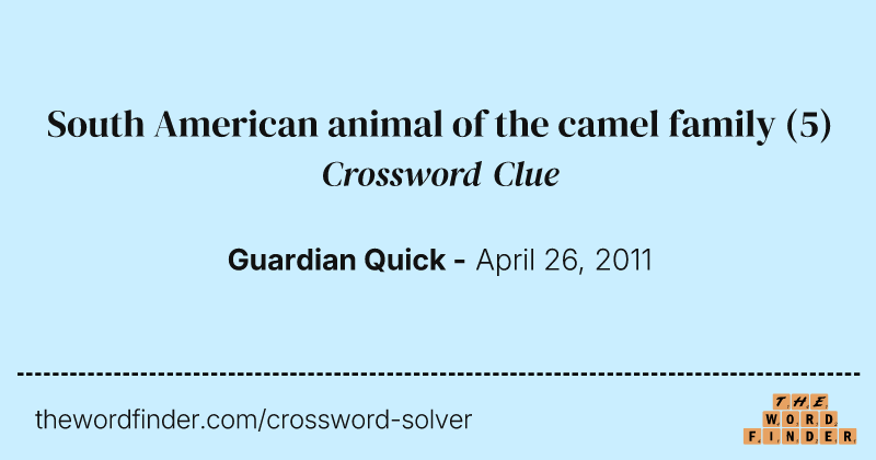 South American animal of the camel family crossword clue image
