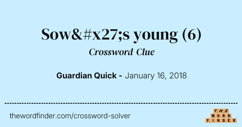 Sow's young crossword clue image