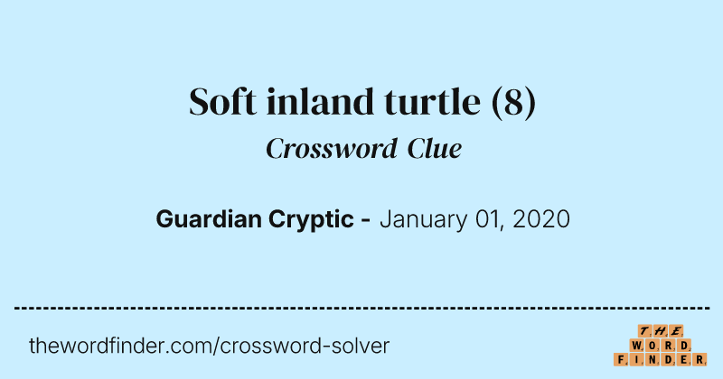 Soft inland turtle crossword clue image