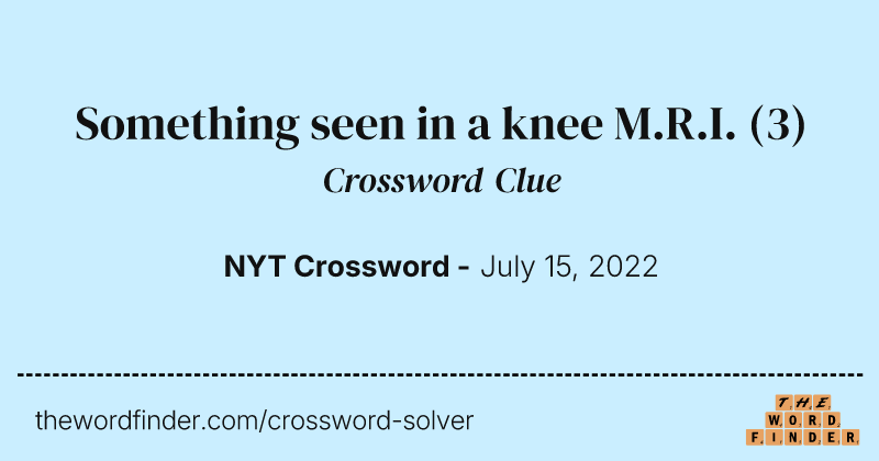 Something seen in a knee M.R.I. crossword clue image