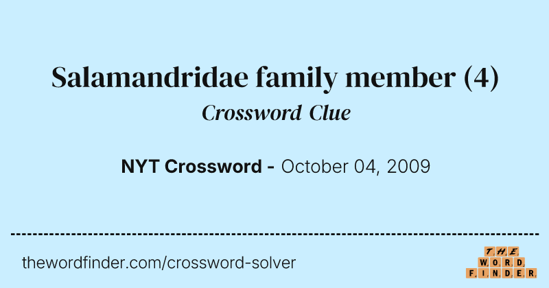 Salamandridae family member crossword clue image