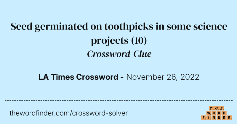 Seed germinated on toothpicks in some science projects crossword clue image