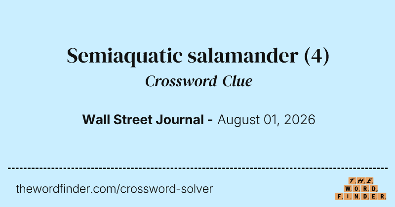 Semiaquatic salamander crossword clue image