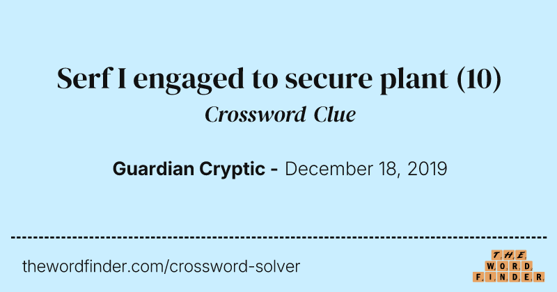 Serf I engaged to secure plant crossword clue image