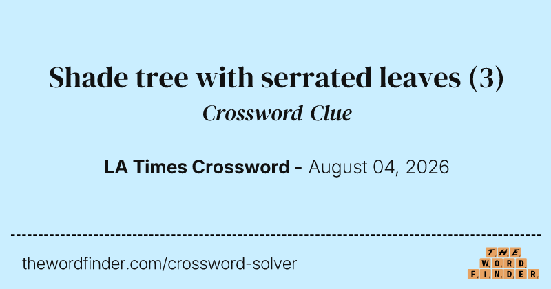 Shade tree with serrated leaves crossword clue image