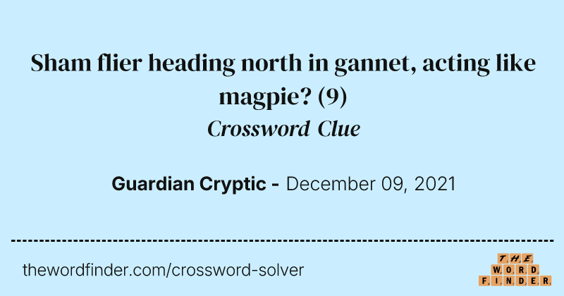 Sham flier heading north in gannet, acting like magpie? crossword clue image