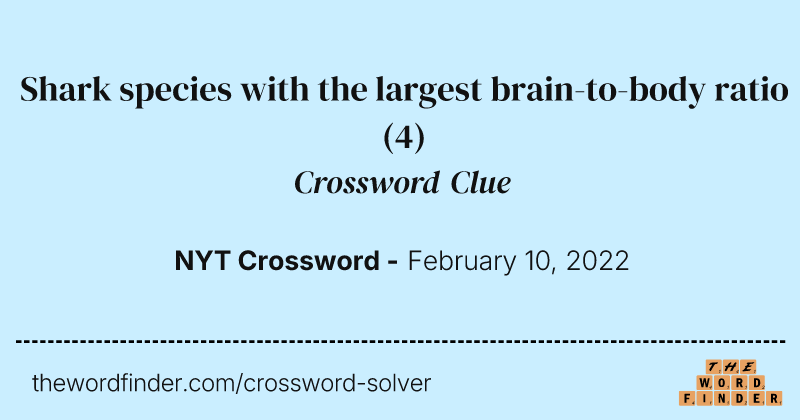 Shark species with the largest brain-to-body ratio crossword clue image