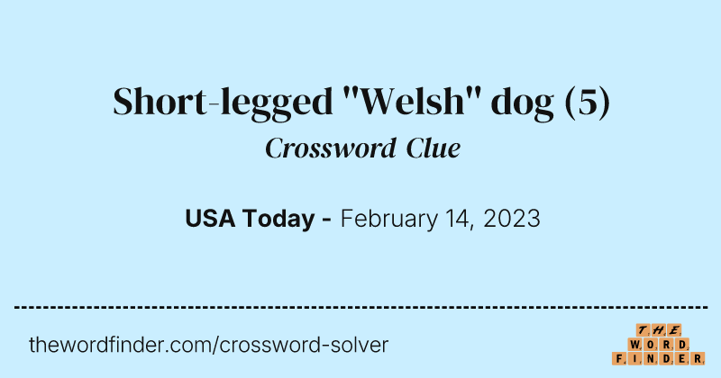 Short-legged ''Welsh'' dog crossword clue image