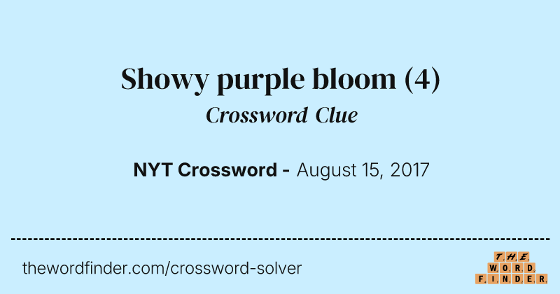 Showy purple bloom crossword clue image