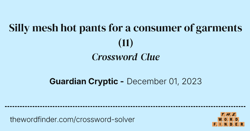 Silly mesh hot pants for a consumer of garments crossword clue image