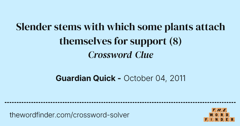 Slender stems with which some plants attach themselves for support crossword clue image