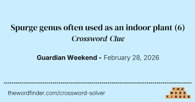 Spurge genus often used as an indoor plant crossword clue image