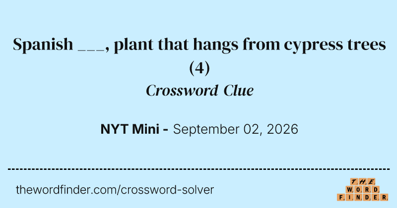 Spanish ___, plant that hangs from cypress trees crossword clue image
