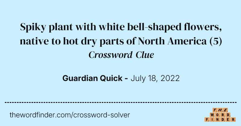 Spiky plant with white bell-shaped flowers, native to hot dry parts of North America crossword clue image