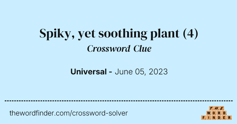 Spiky, yet soothing plant crossword clue image