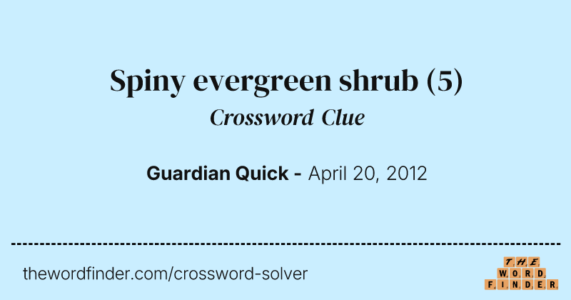 Spiny evergreen shrub crossword clue image