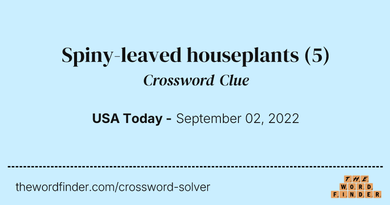 Spiny-leaved houseplants crossword clue image