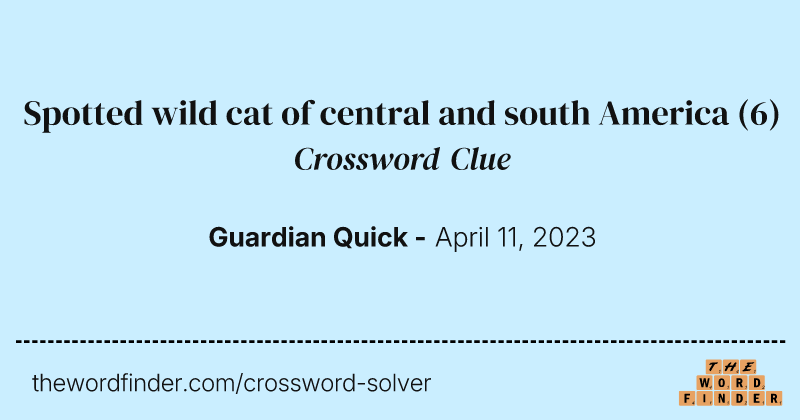 Spotted wild cat of central and south America crossword clue image