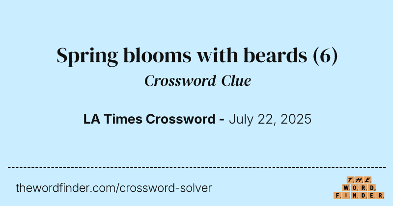 Spring blooms with beards crossword clue image