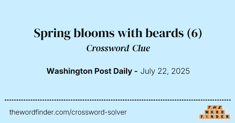 Spring blooms with beards crossword clue image
