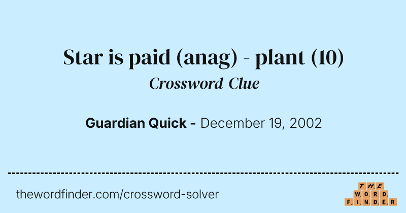 Star is paid (anag) - plant crossword clue image