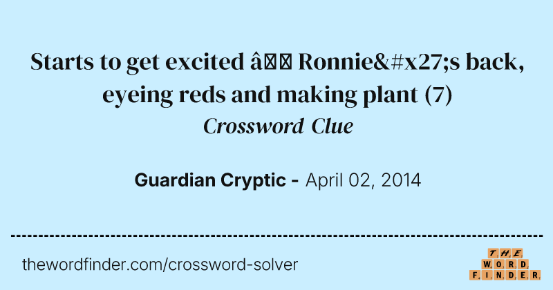 Starts to get excited — Ronnie's back, eyeing reds and making plant crossword clue image