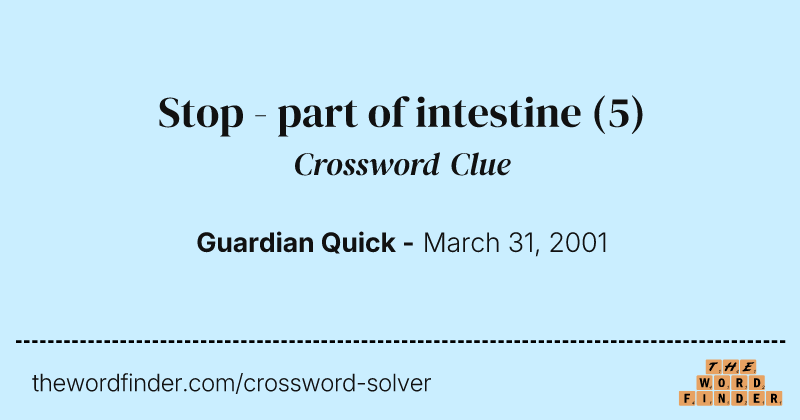 Stop - part of intestine crossword clue image