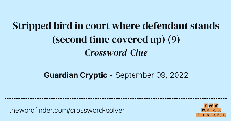 Stripped bird in court where defendant stands (second time covered up) crossword clue image