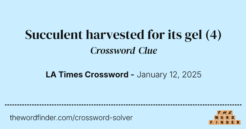 Succulent harvested for its gel crossword clue image