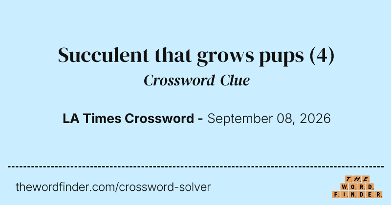 Succulent that grows pups crossword clue image
