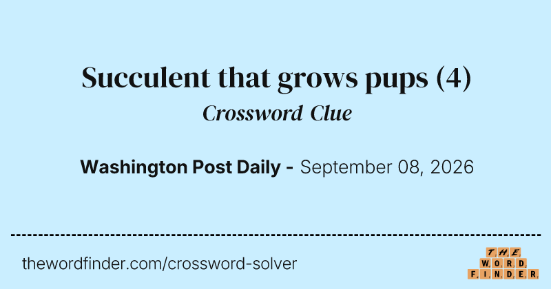 Succulent that grows pups crossword clue image
