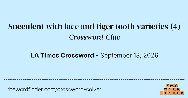 Succulent with lace and tiger tooth varieties crossword clue image