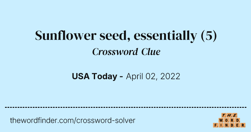 Sunflower seed, essentially crossword clue image