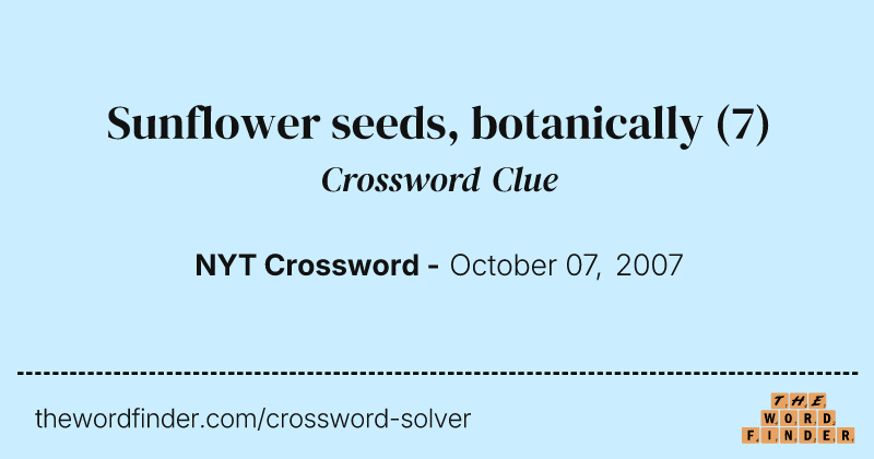 Sunflower seeds, botanically crossword clue image