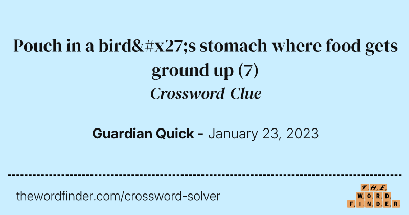 Pouch in a bird's stomach where food gets ground up crossword clue image