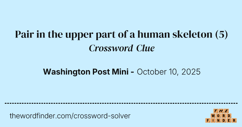 Pair in the upper part of a human skeleton crossword clue image