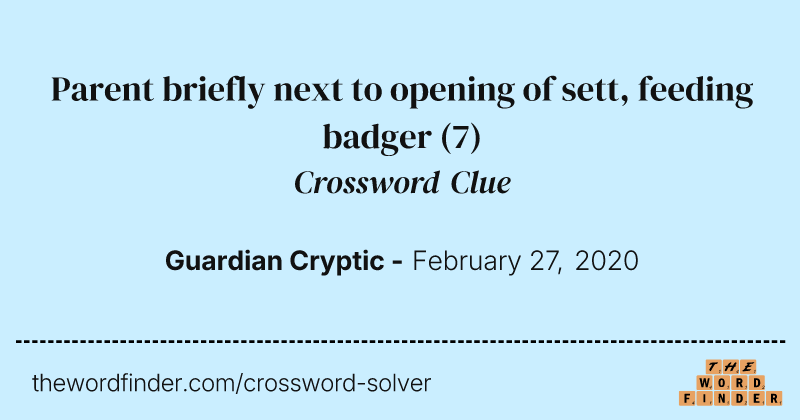 Parent briefly next to opening of sett, feeding badger crossword clue image