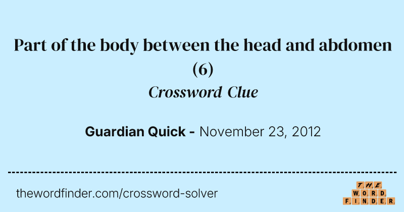 Part of the body between the head and abdomen crossword clue image