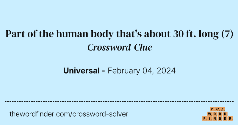 Part of the human body that's about 30 ft. long crossword clue image