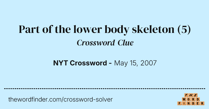 Part of the lower body skeleton crossword clue image