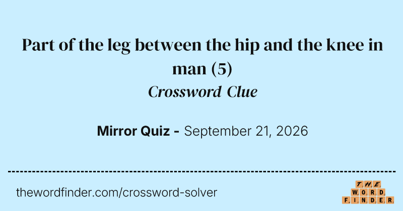 Part of the leg between the hip and the knee in man crossword clue image