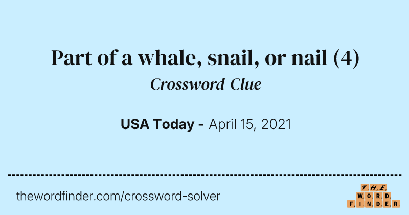Part of a whale, snail, or nail crossword clue image