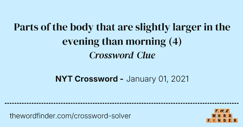 Parts of the body that are slightly larger in the evening than morning crossword clue image