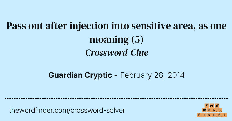 Pass out after injection into sensitive area, as one moaning crossword clue image