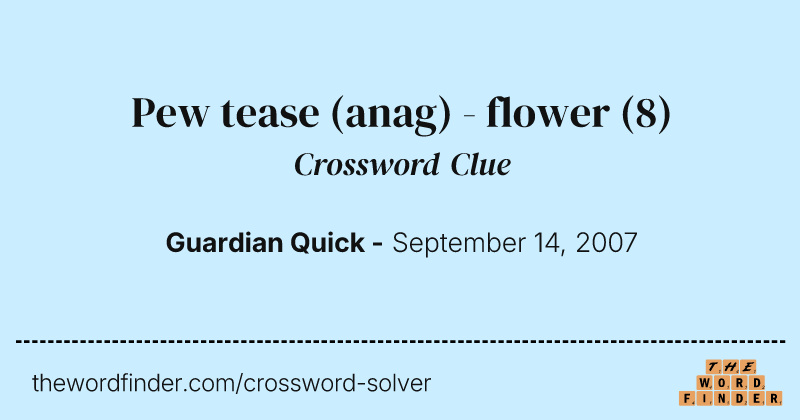 Pew tease (anag) - flower crossword clue image