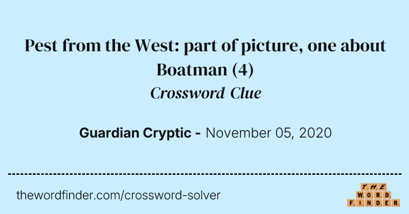 Pest from the West: part of picture, one about Boatman crossword clue image