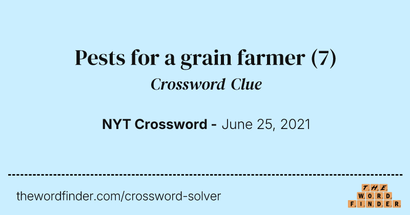 Pests for a grain farmer crossword clue image