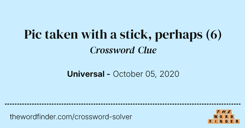 Pic taken with a stick, perhaps crossword clue image