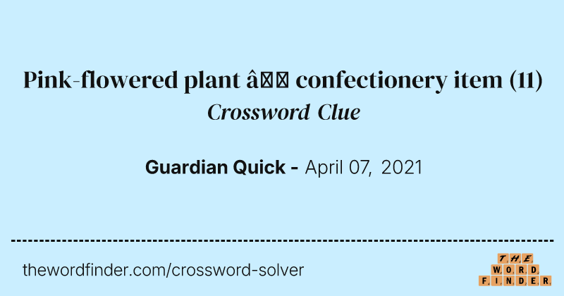 Pink-flowered plant — confectionery item crossword clue image
