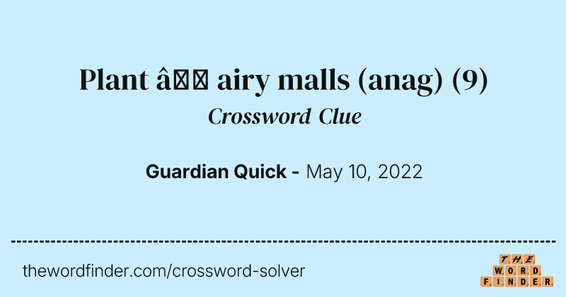 Plant — airy malls (anag) crossword clue image